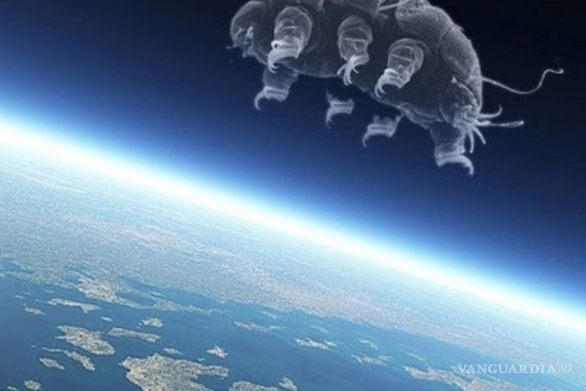Una nave espacial israelí se estrella en la luna, ¡y ahora hay miles de tardígrados por todos lados!