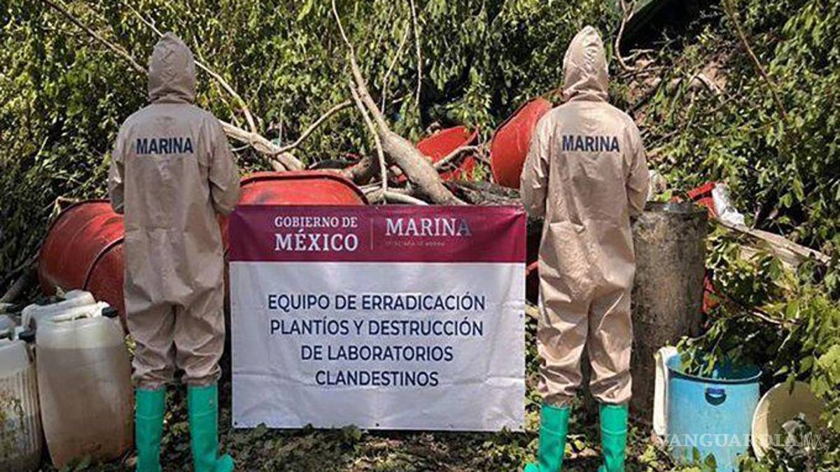 Caen 8 personas tras operativos en Sinaloa y Nayarit; aseguran narcolaboratorio y arsenal