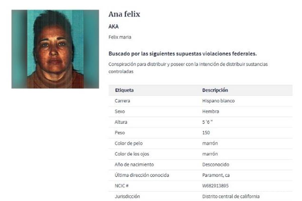 $!'Armadas y peligrosas'... ellas son las 6 mujeres del narco que la DEA no ha podido atrapar