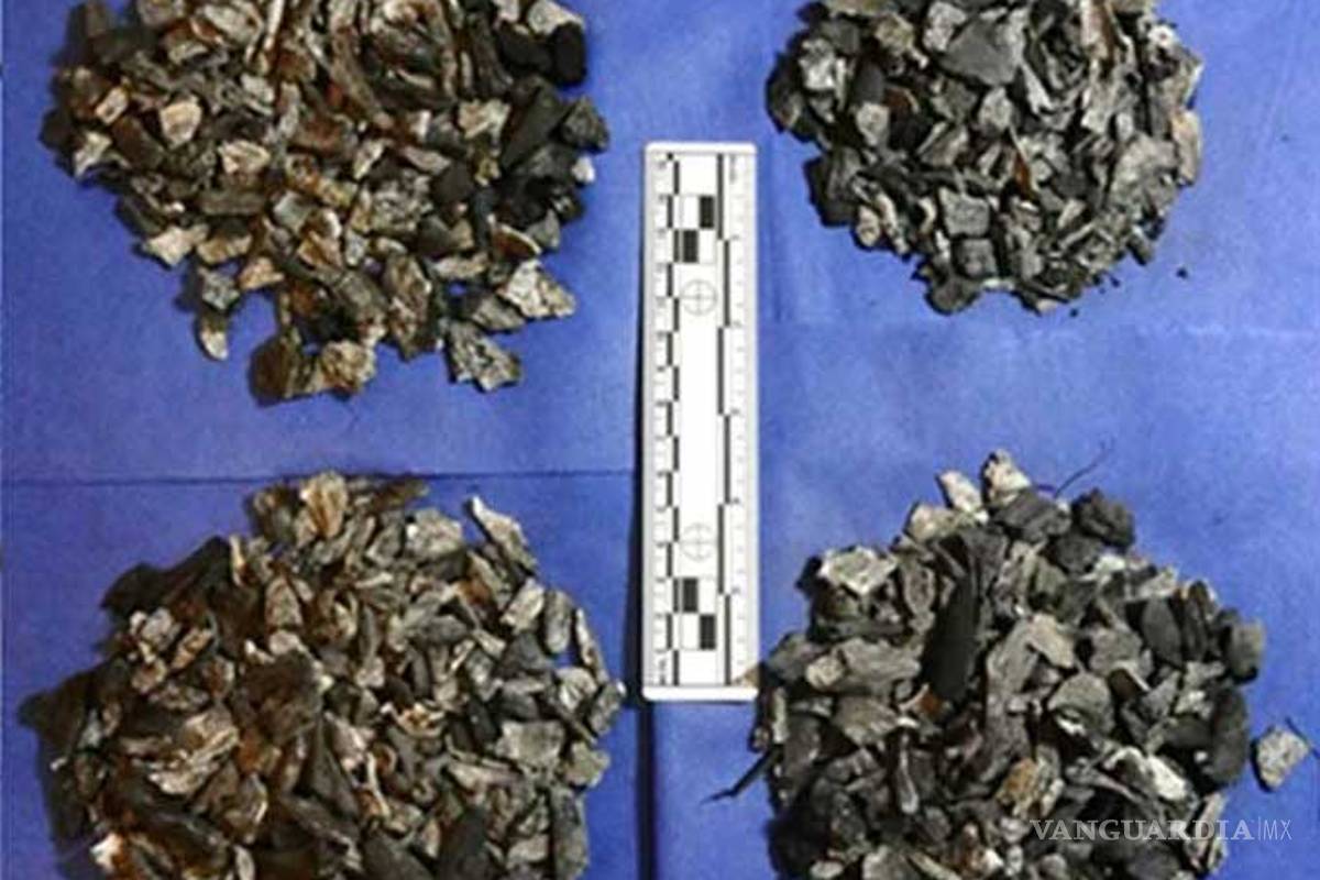 Aparecen 41 casquillos en el Basurero de Cocula: Forenses argentinos