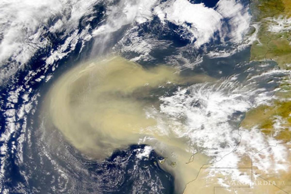Podría llegar a Monterrey la nube de polvo del desierto del Sahara