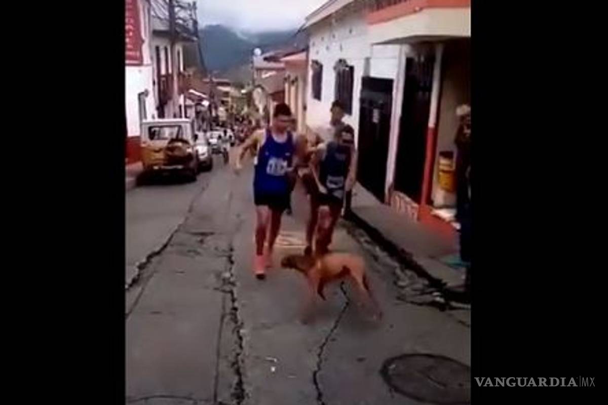 Corredor patea a un perro en plena competencia...y marca deportiva le quita patrocinio