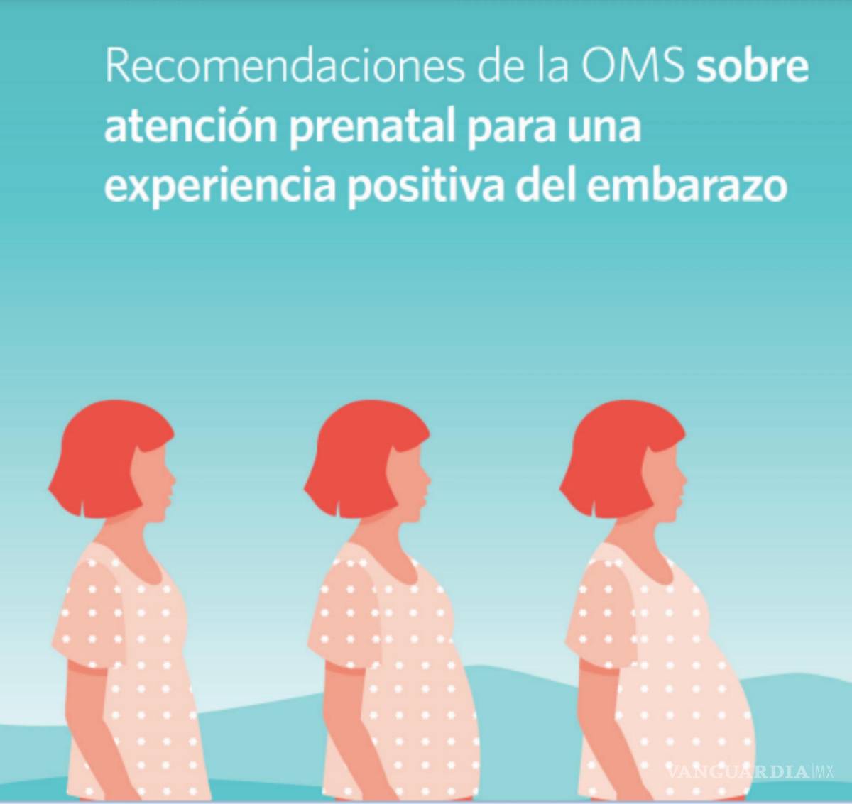 $!La Organización Mundial de la Salud (OMS) publicó por primera vez una lista de 60 recomendaciones para las madres que acaban de tener un hijo.