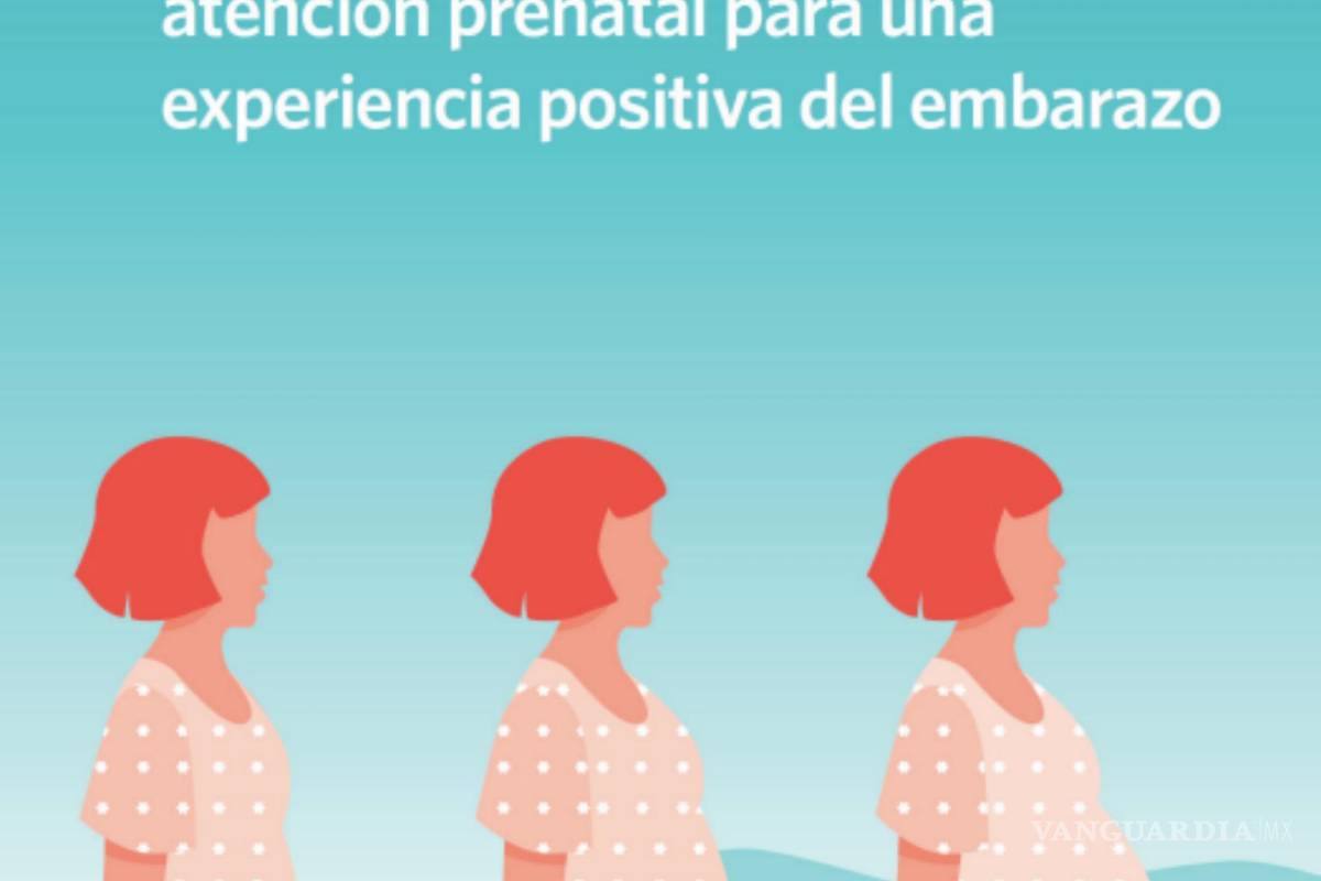 $!La Organización Mundial de la Salud (OMS) publicó por primera vez una lista de 60 recomendaciones para las madres que acaban de tener un hijo.