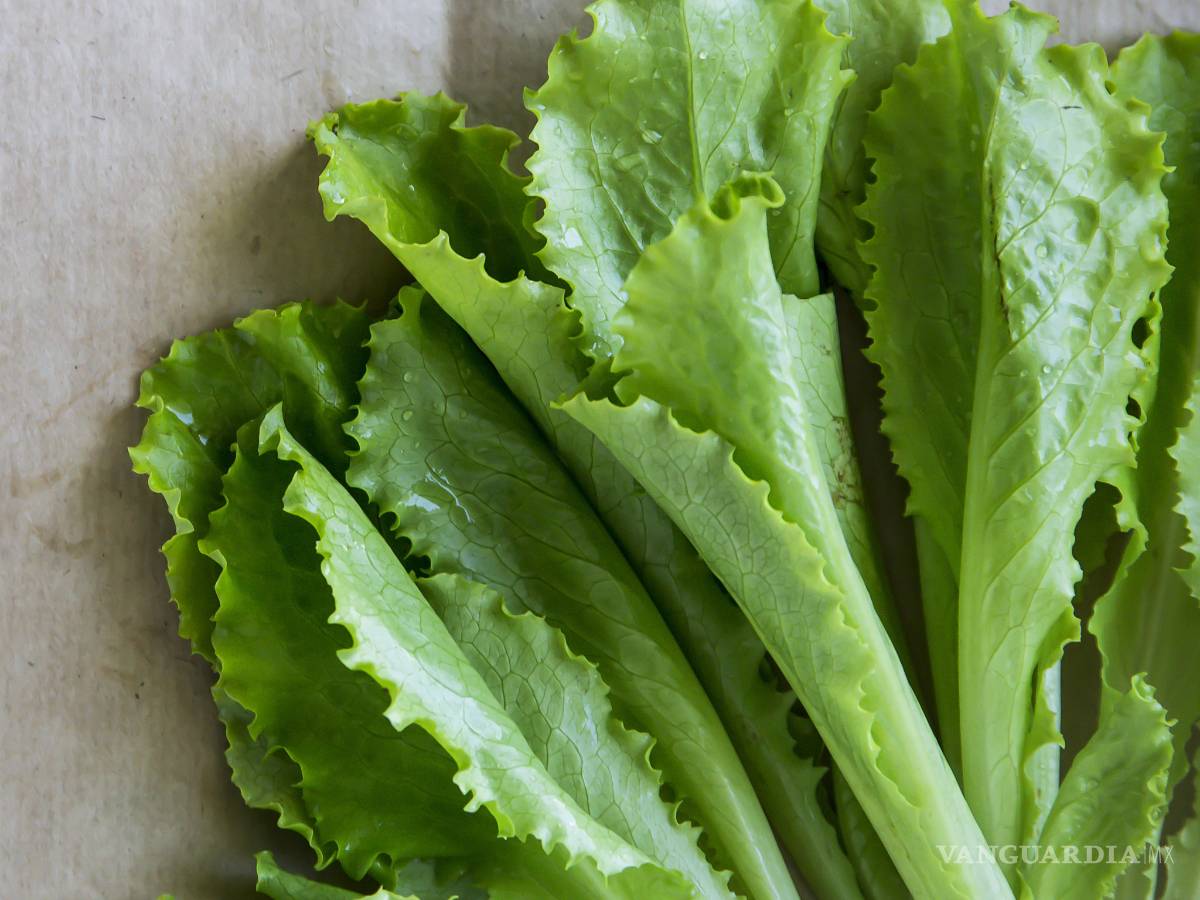 $!Enigmas de la dieta