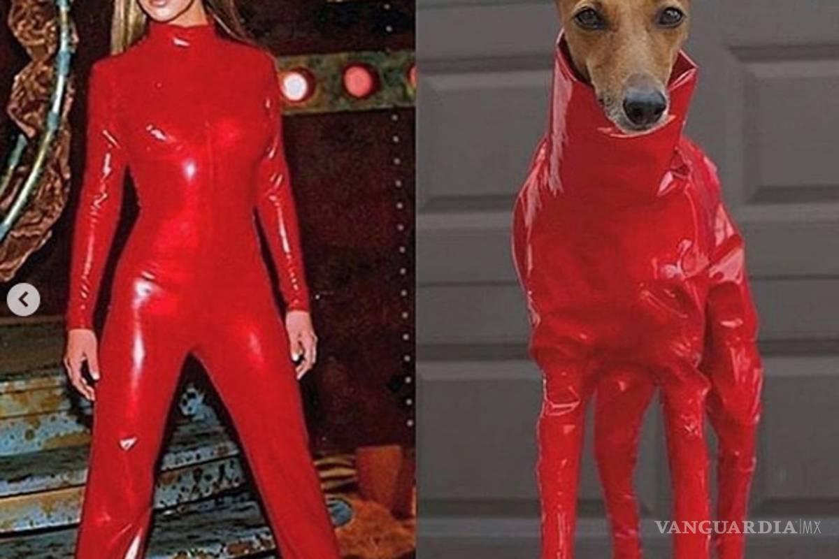 ¡Ooops lo hicieron otra vez!, Es Halloween y disfrazan a perro como Britney Spears