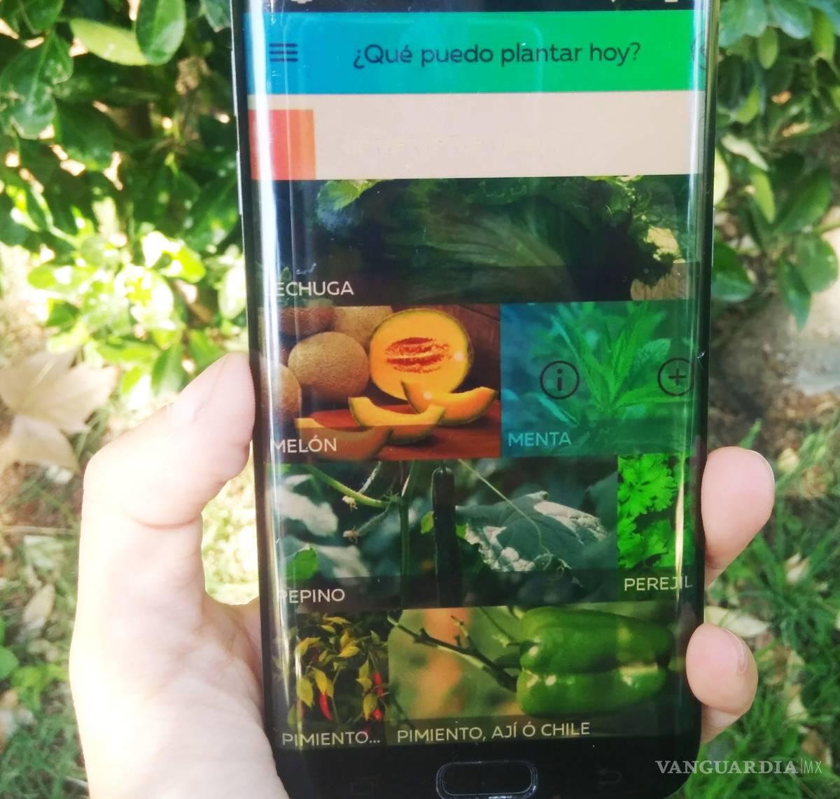 $!“Eco-Apps”, la conciencia verde para los celulares