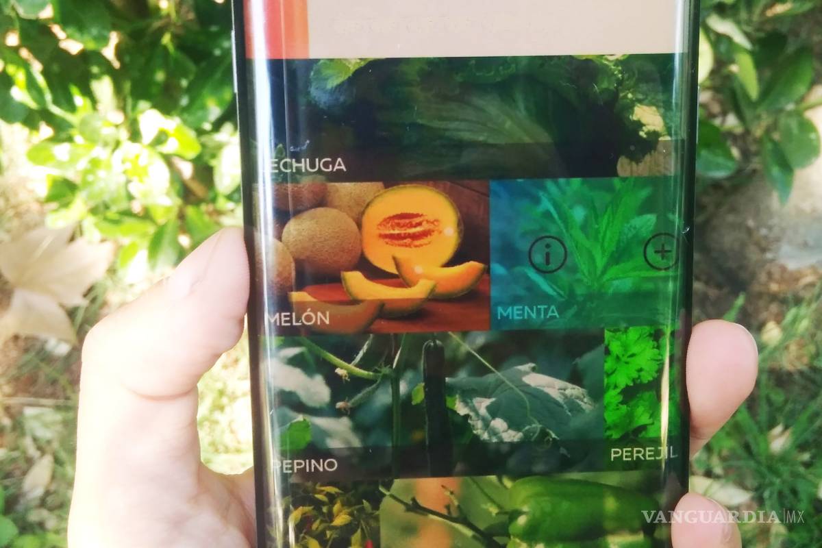 $!“Eco-Apps”, la conciencia verde para los celulares
