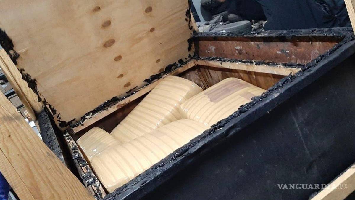 Le dan 8 años de cárcel por transportar marihuana en una empresa de paquetería, en NL