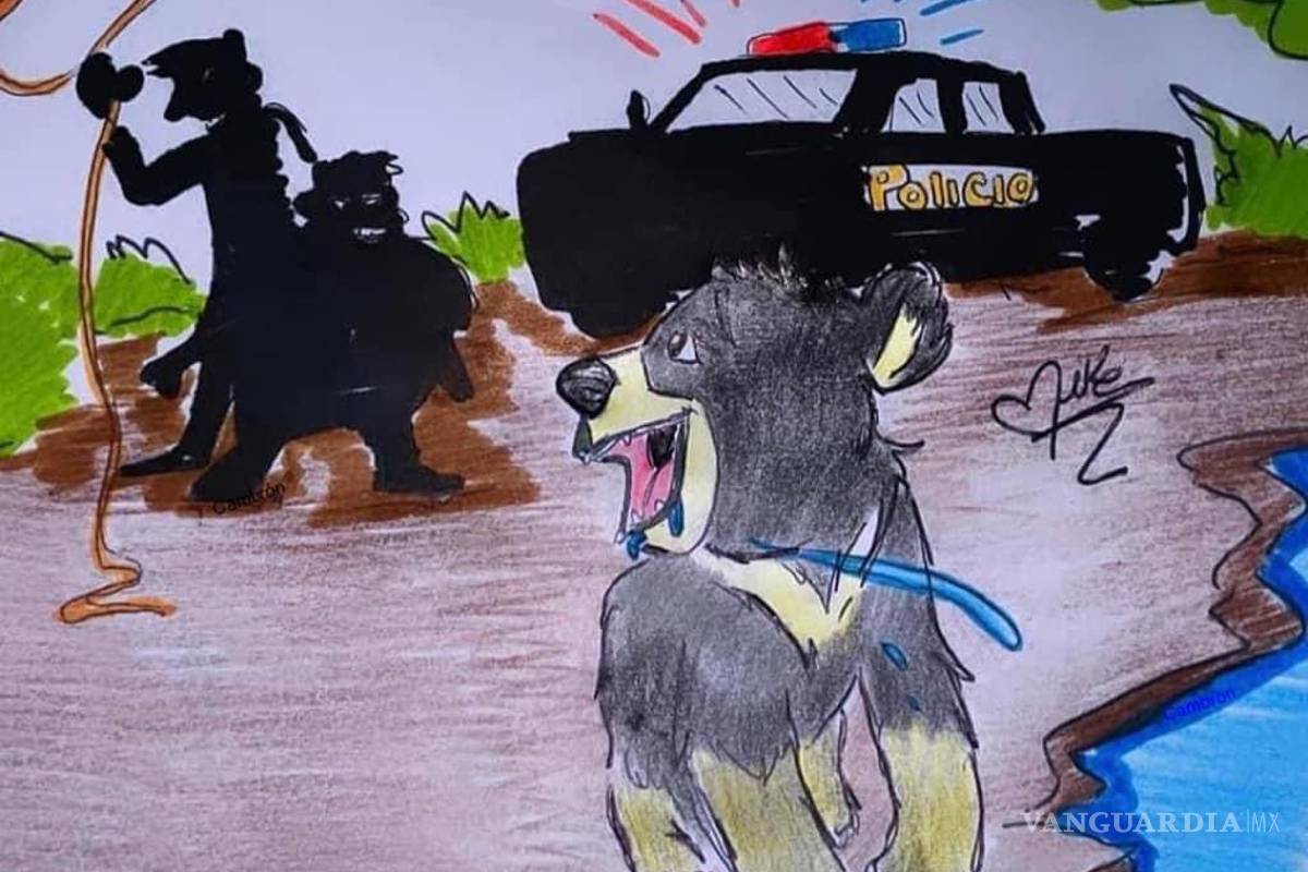 $!Circula este dibujo en redes sociales de Monclova, la sociedad indignada por muerte de una cría de oso en la colonia Santa Cecilia.