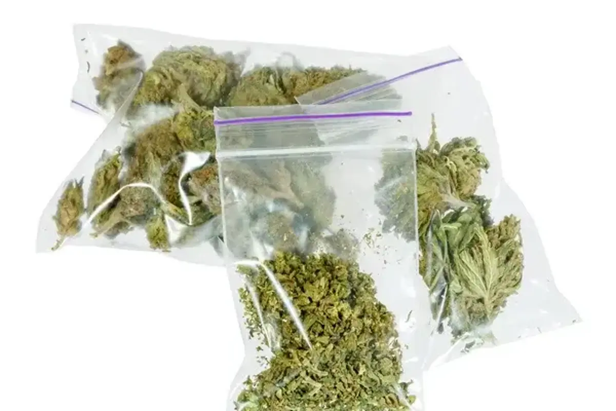 Detienen a joven con cinco paquetes de presunta mariguana en la colonia Nueva Tlaxcala de Saltillo