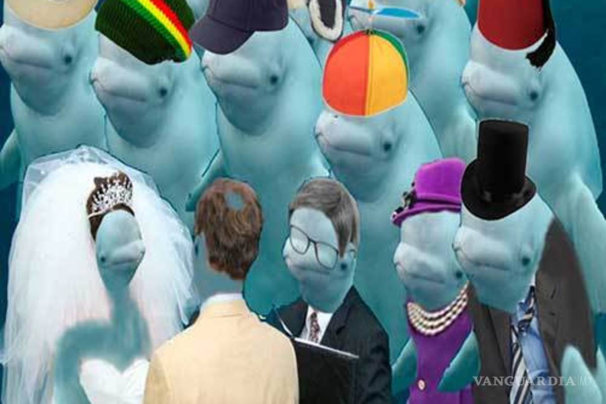 $!Ballena se aparece en boda y opaca a la novia