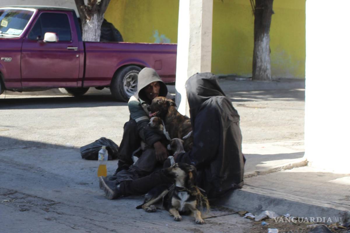 Pareja de hermanos y sus seis perritos se quedan sin hogar al incendiarse su tejabán, al oriente de Saltillo