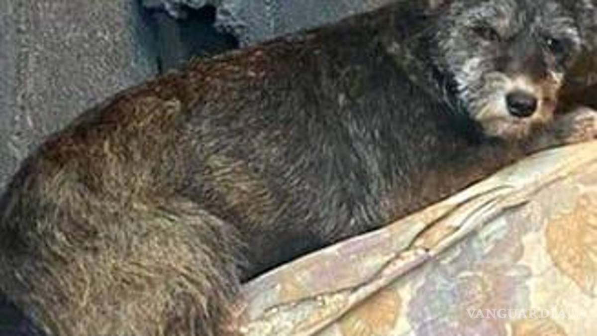 Nuevo León: Muere hombre cuando su casa es alcanzada por deslave