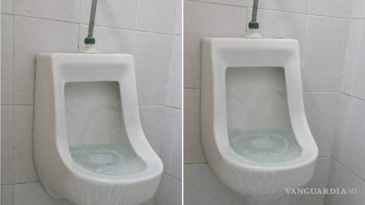 Estudiantes del Tecnológico de Saltillo exhiben baños insalubres (imágenes fuertes)