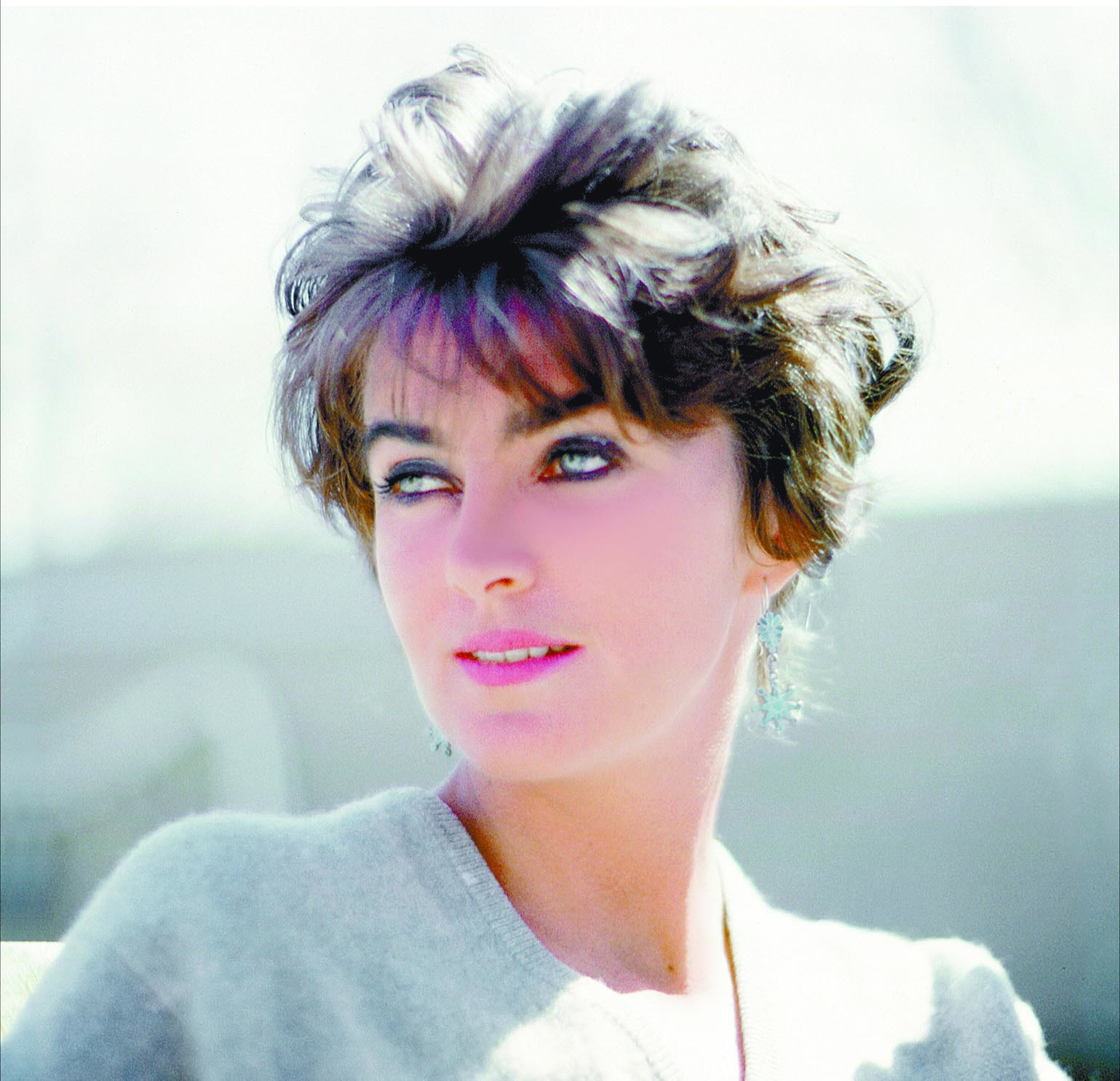 Descubre el libro del año