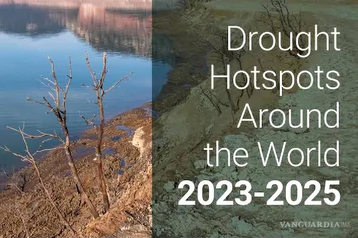 Revela estudio que desde 2023 se han registrado periodos de sequía más dañinos