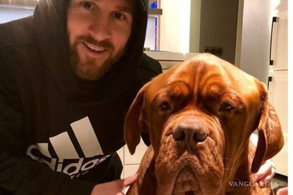 Hulk, el perro de Leo Messi es más grande que él