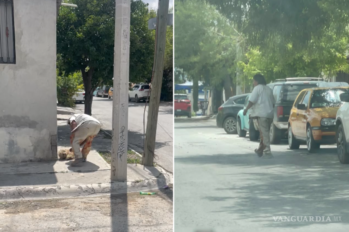 $!Publicación en redes sociales que alertó a la comunidad sobre el maltrato a un cachorro en Nogales II, Saltillo.