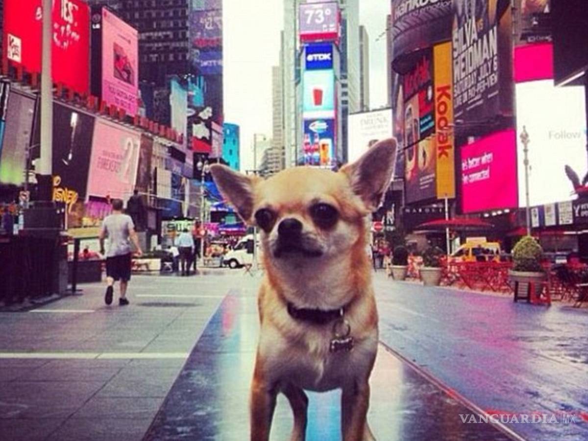 $!Estos son los 20 sitios más fotografiados en Instagram del 2016