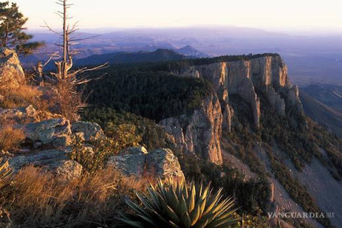 Nevada en Maderas del Carmen contribuye a contener incendio forestal en la sierra: PC