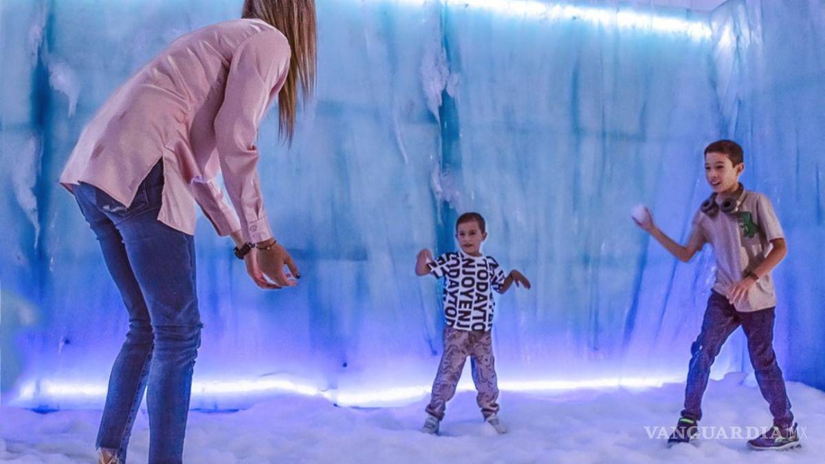 Sealand, el primer acuario interactivo de Monterrey, abre sus puertas este 9 de agosto