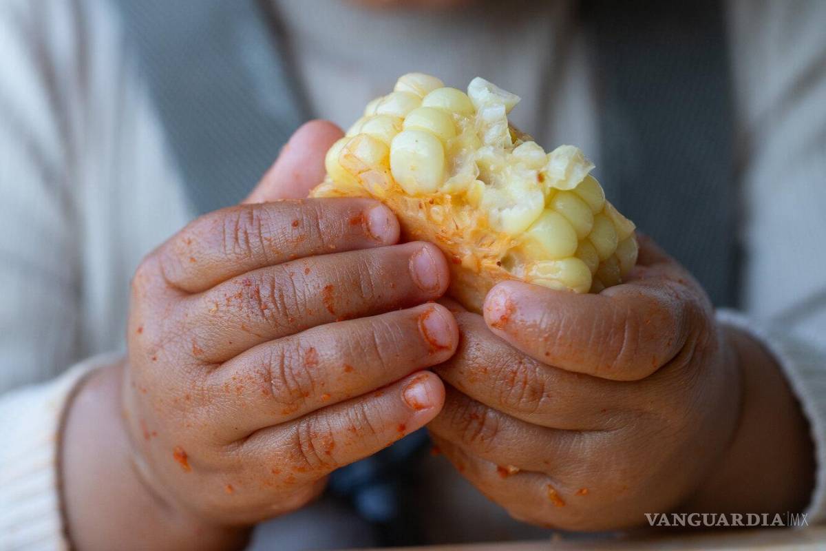 ¿Los purés son la única opción para alimentar a los bebés?