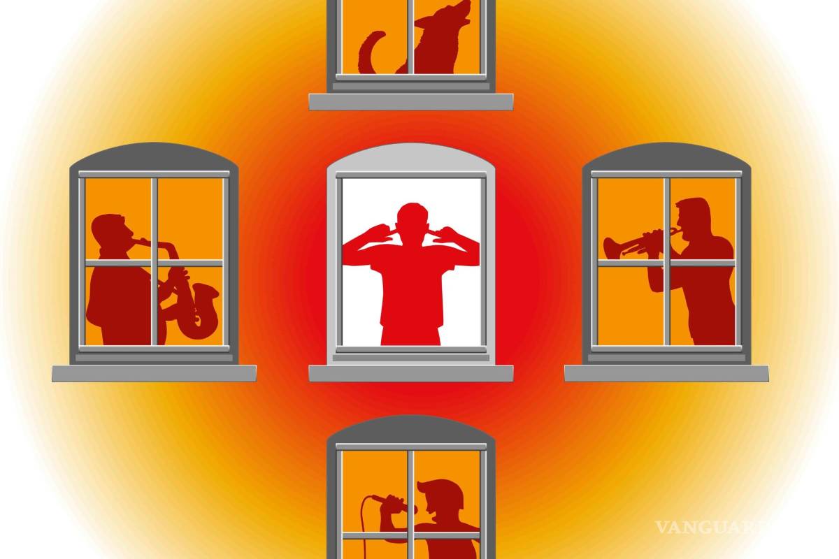 Vecina Consternada (Apartado 500)