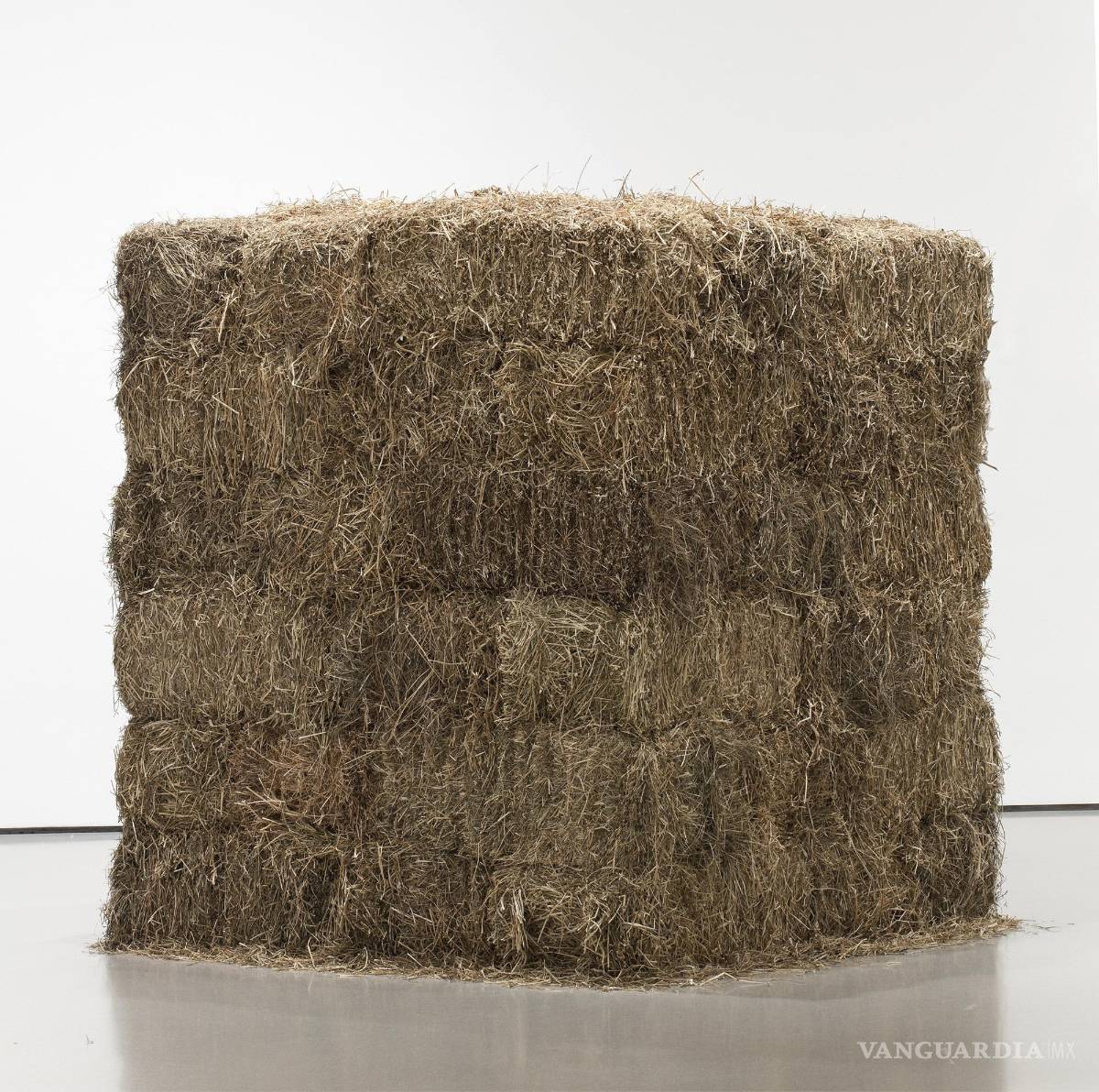 $!Fio de Cildo Meireles, una instalación realizada con 48 pacas de heno y una aguja de oro de 18 quilates.