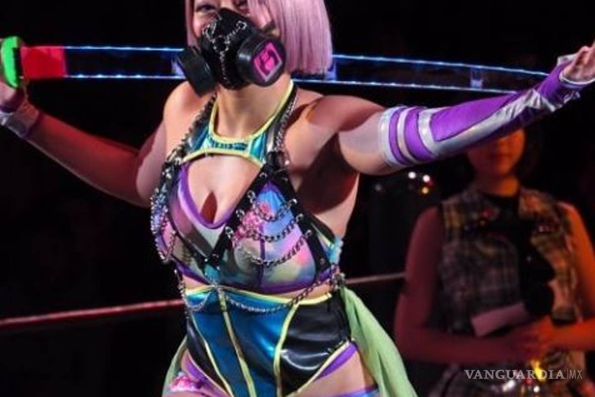 Luchadora japonesa se suicida a los 22 años por el bullying de los fanáticos