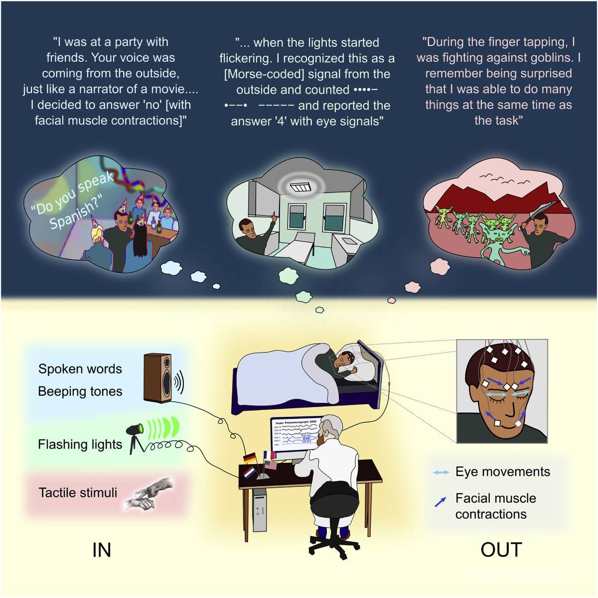 $!Hablar con personas mediante sueños lúcidos es posible