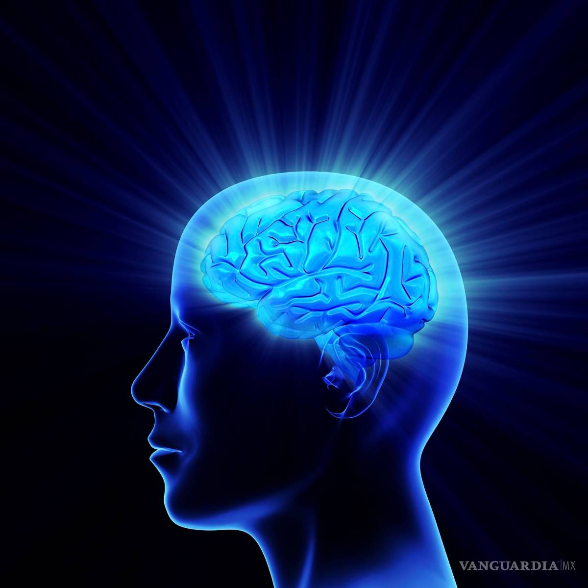 $!Nuestro cerebro se actualiza para acostumbrarse a lo inesperado