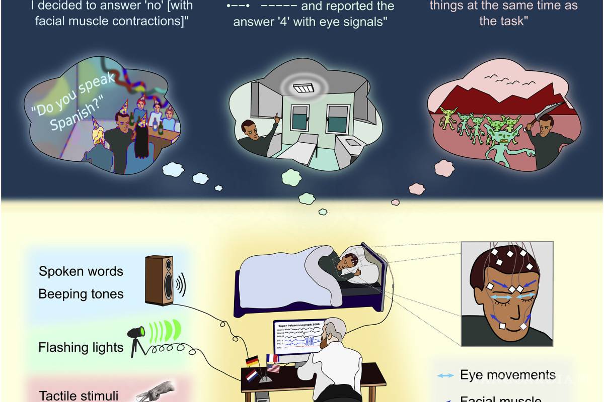 $!Hablar con personas mediante sueños lúcidos es posible