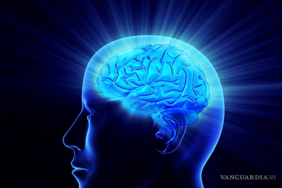 Un cerebro activo a pesar de la edad