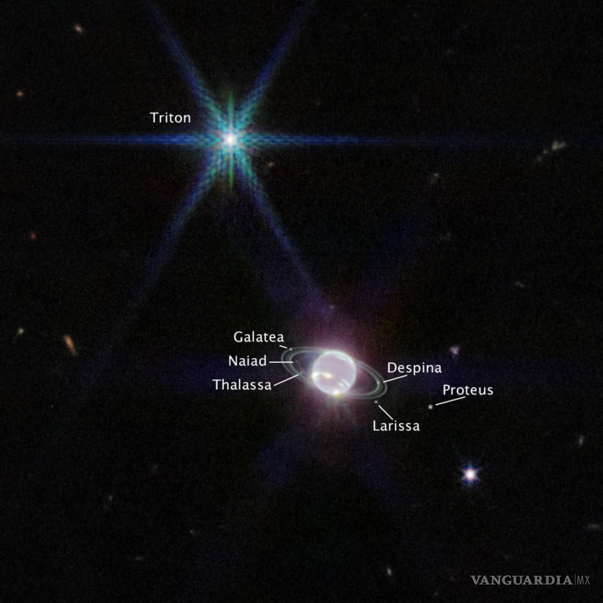 $!Imagen captada por la cámara de infrarroja del Telescopio Espacial James Webb de Neptuno, las lunas visibles del planeta están etiquetadas.