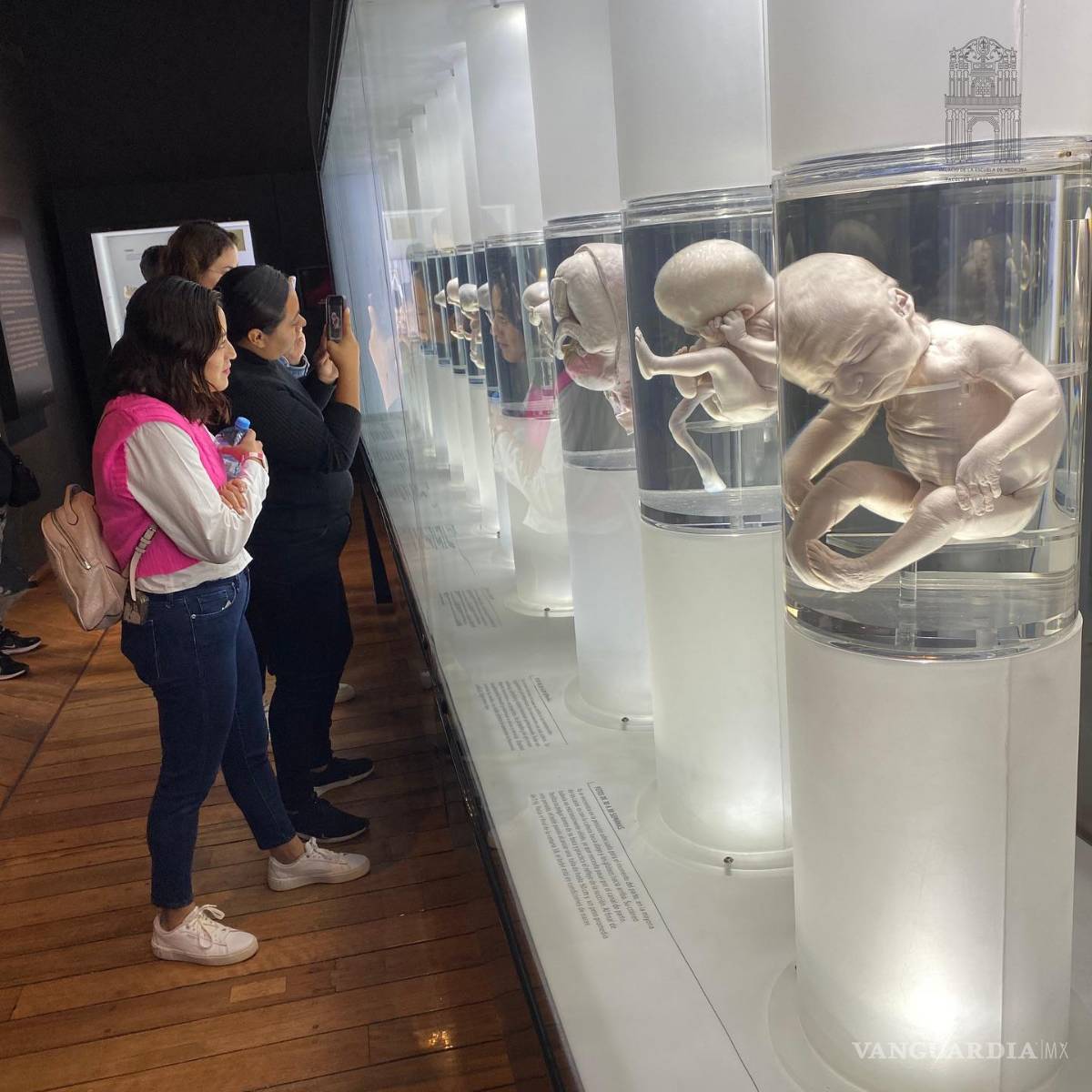 $!Museo de la Medicina en CDMX, donde los instrumentos antiguos parecen hablar.