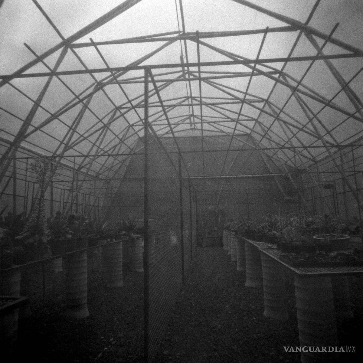 $!Mujeres coahuilenses con un objetivo