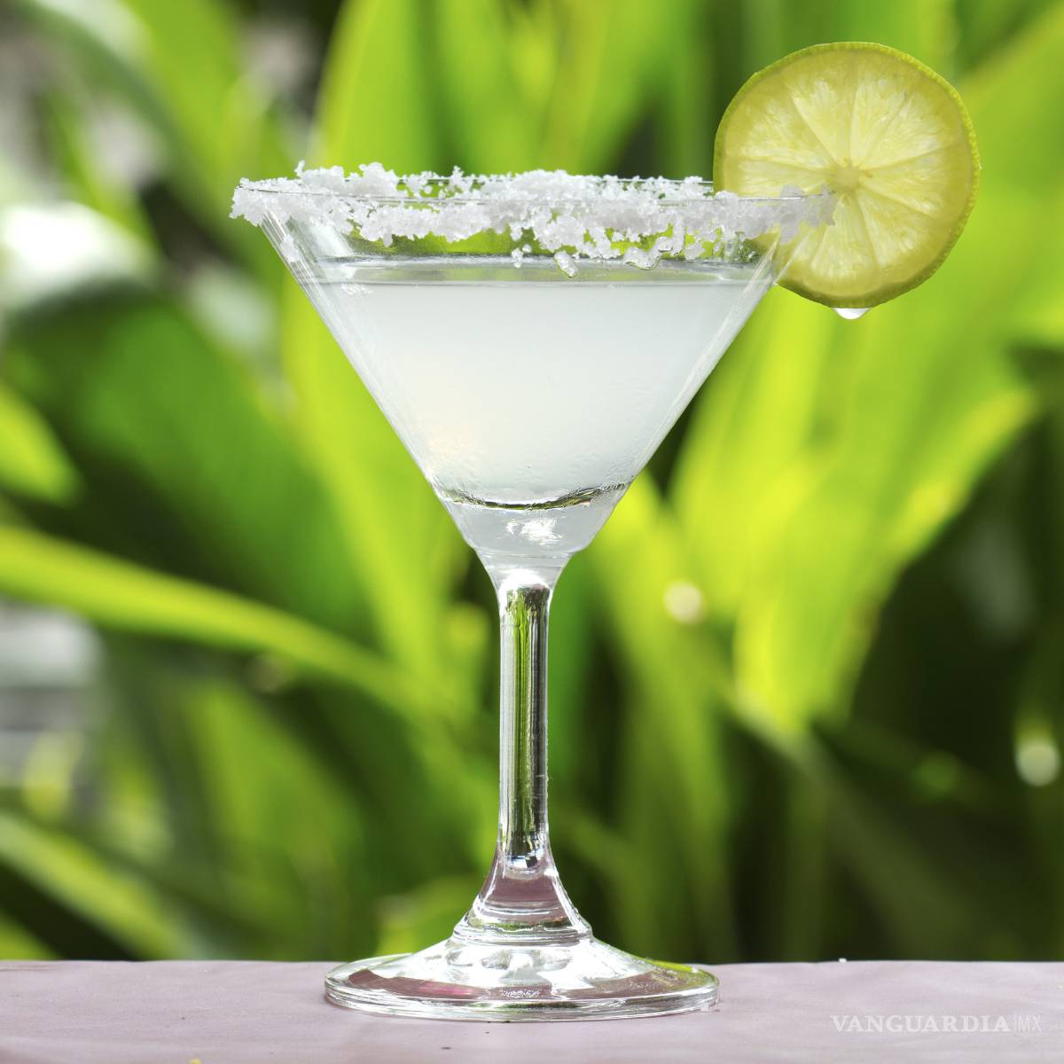 $!Hoy México celebra el Día Nacional del Tequila