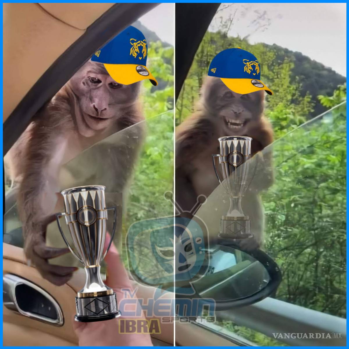 $!Los memes del título de Tigres en la Concachampions