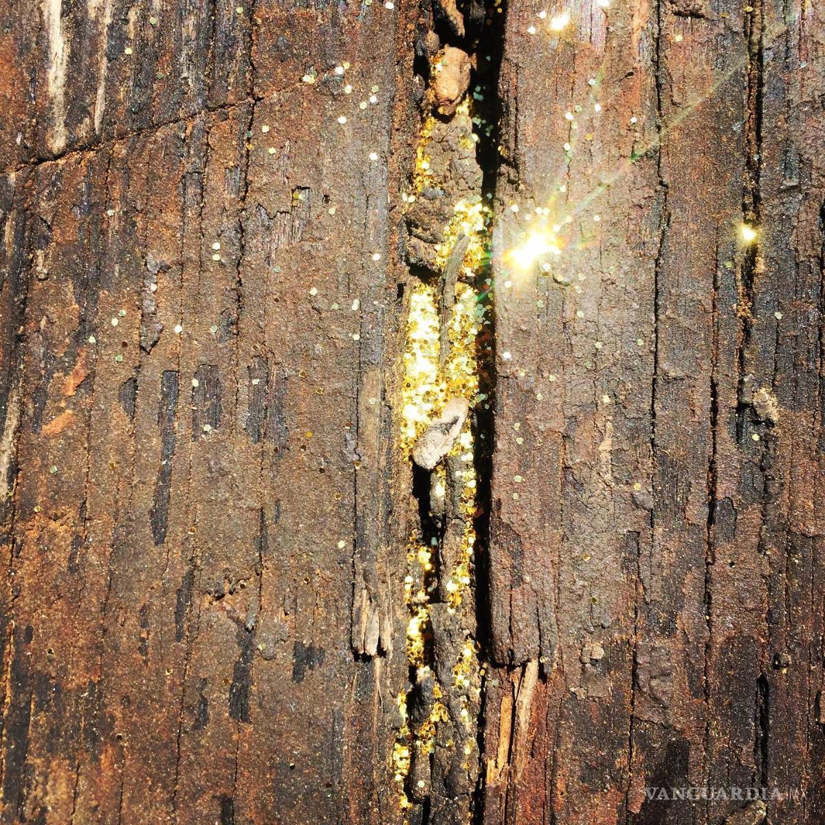 $!Mujeres coahuilenses con un objetivo