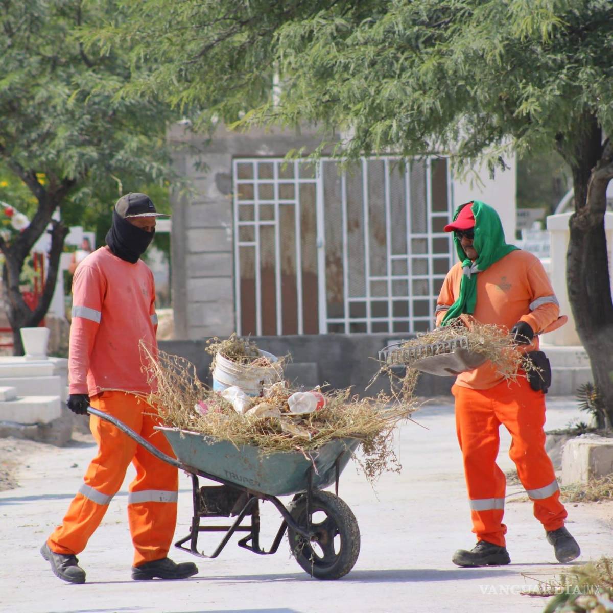 $!Los trabajos de mantenimiento no solo mejoran los cementerios, sino que también representan un acto de respeto a las tradiciones y a la memoria de los difuntos.