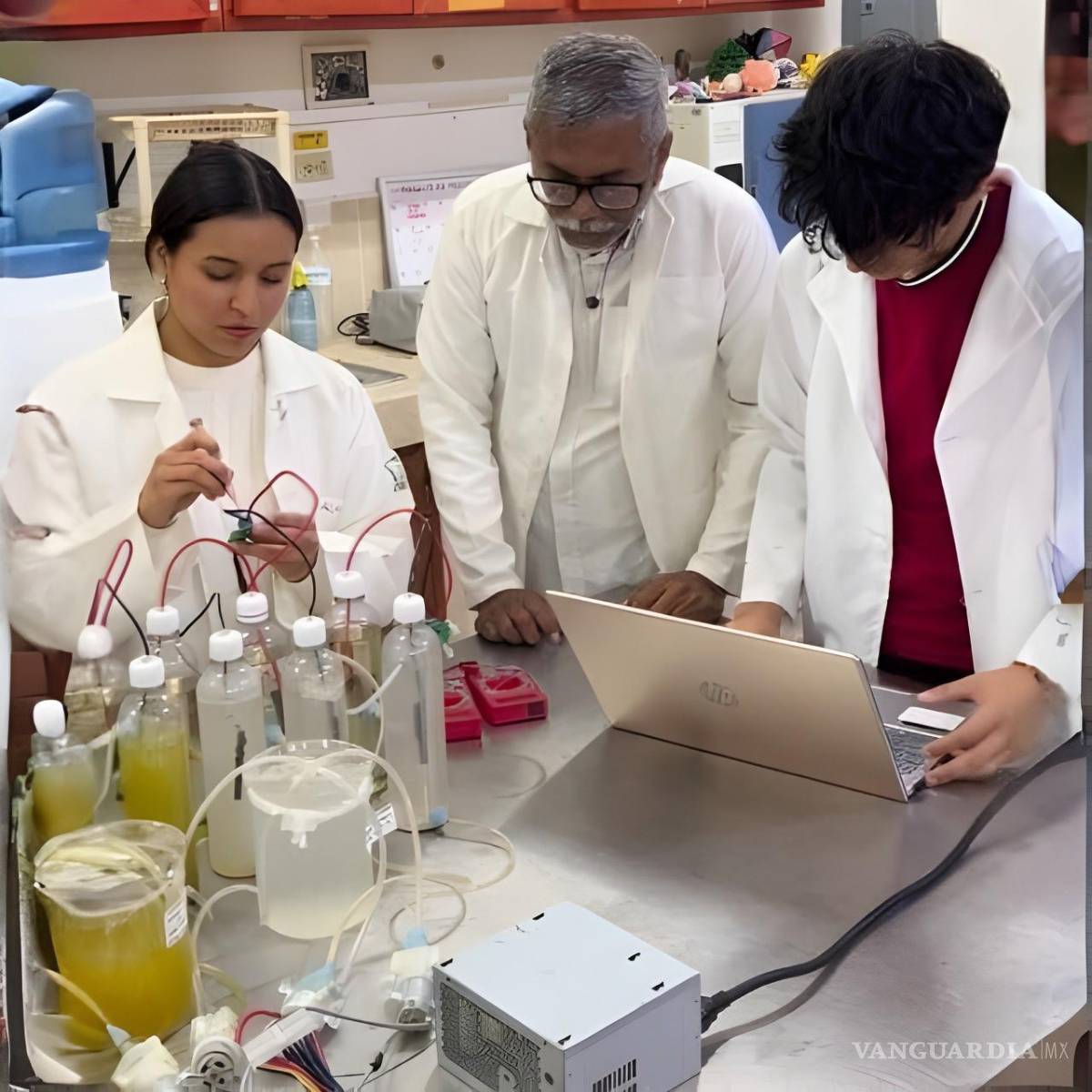 $!El proyecto genera electricidad a partir de residuos agroindustriales bajo un modelo de economía circular y escalamiento tecnológico.