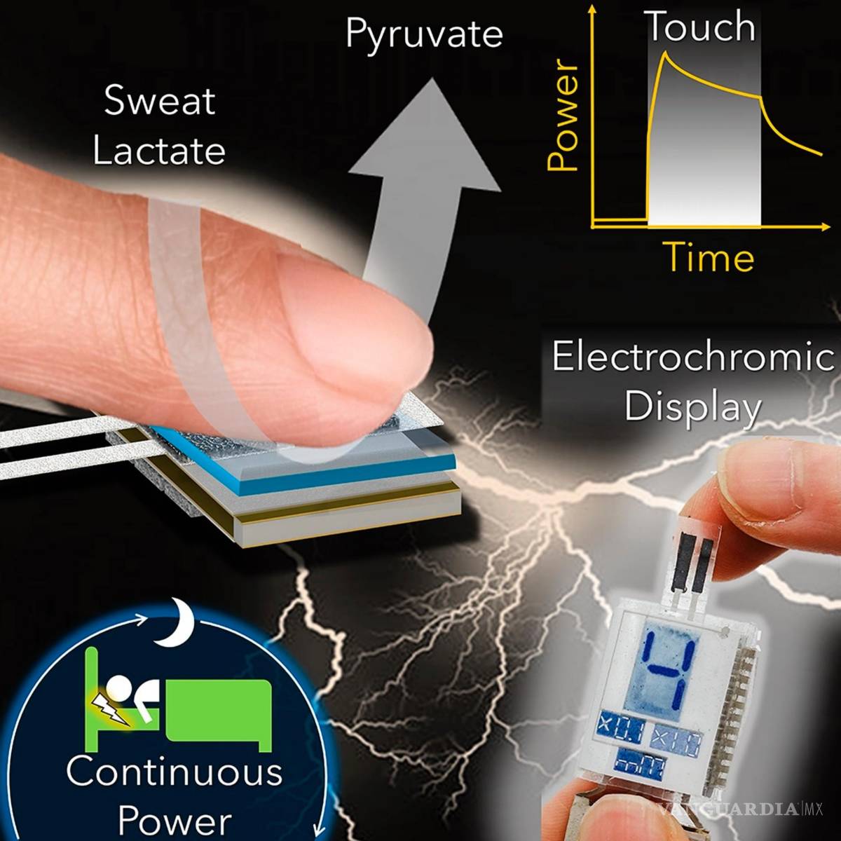 $!Gráfico que muestra componentes y el funcionamiento del sistema BFC. EFE/Universidad de California en San Diego (UCSD)
