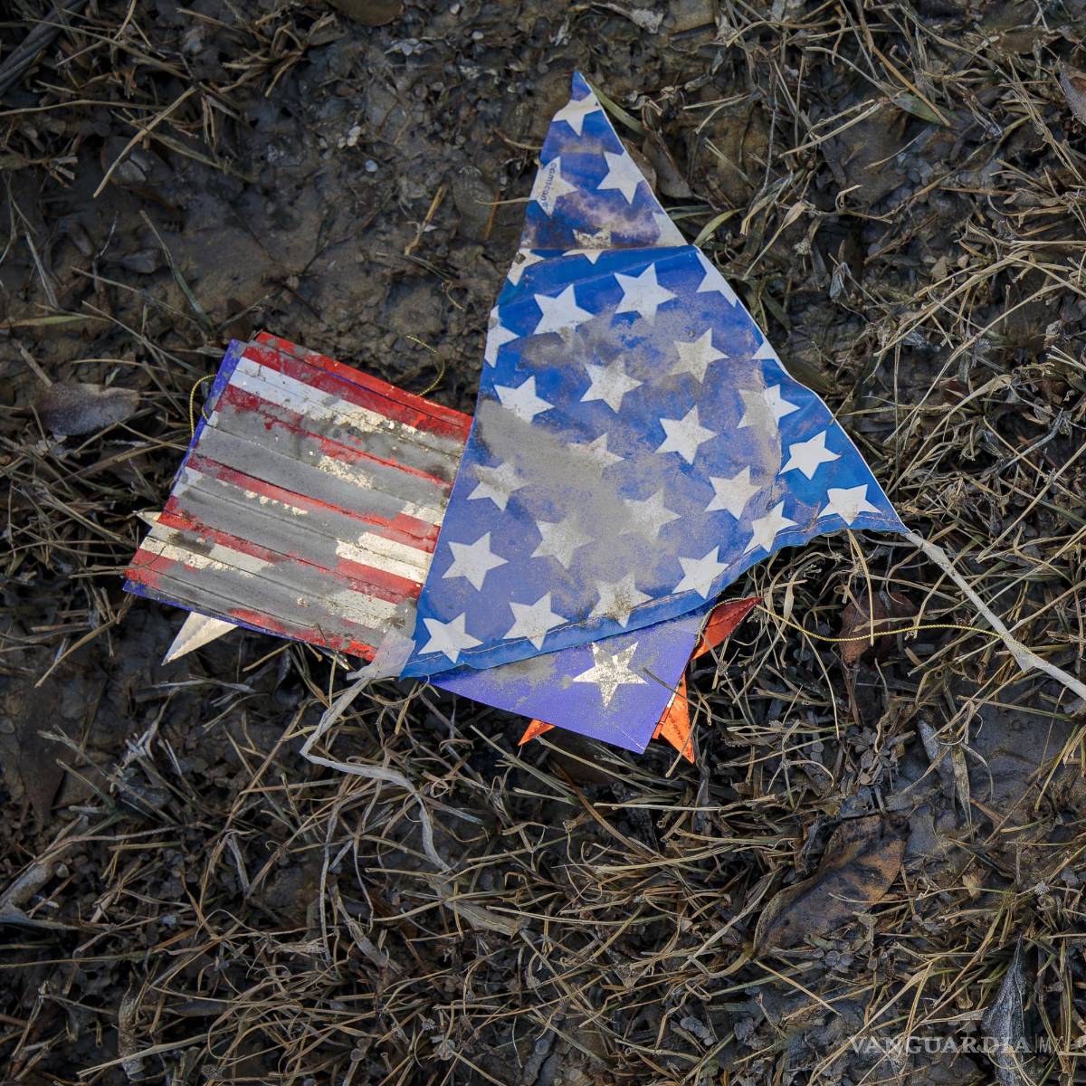 $!“A veces las reglas de una república exigen hacer cosas antidemocráticas”, escribe el columnista del New York Times Ross Douthat.