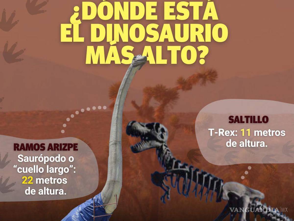 $!Tiene Ramos Arizpe dinosaurio más grande de la región; su cuello largo es 2 veces más alto que T-Rex de Saltillo