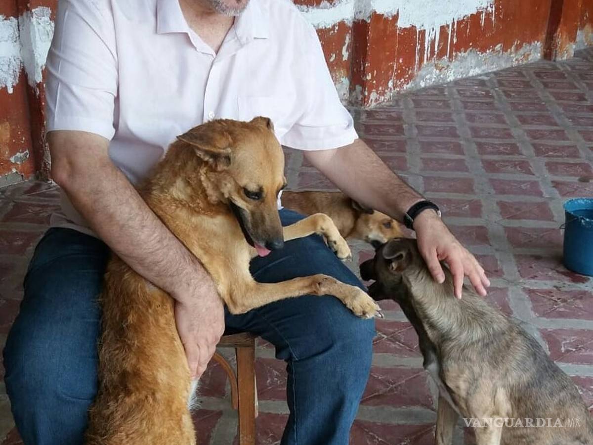 $!Sacerdote lleva perros a sus misas para que fieles los adopten; "Son de Dios"