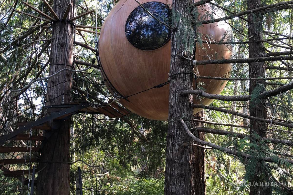 $!Estos son los hoteles más curiosos