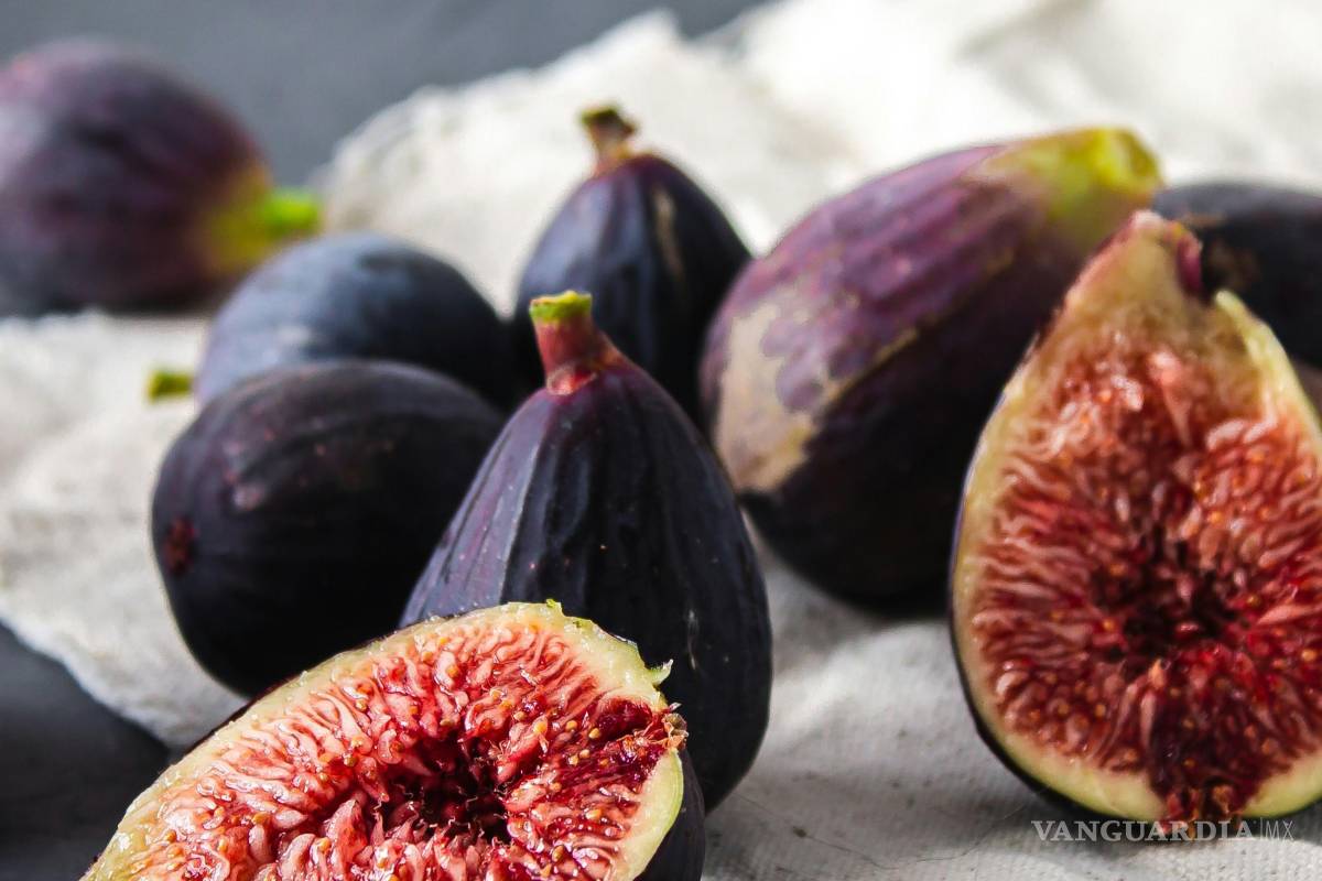 Se consolida Coahuila como séptimo estado con mayor producción de higo