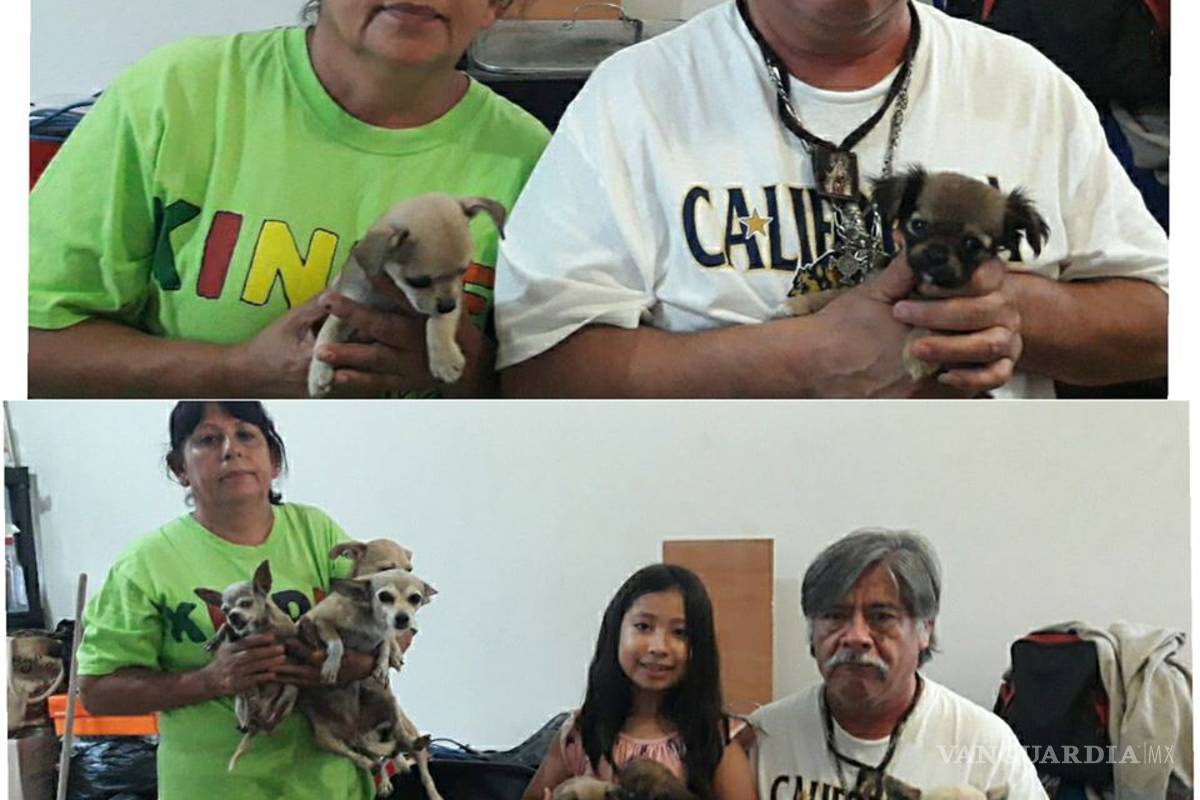 $!Pierden todo por el huracán Hanna, pero salvan a sus 7 perros