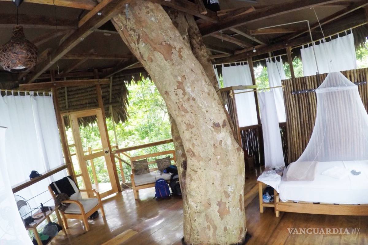 $!Estos son los hoteles más curiosos